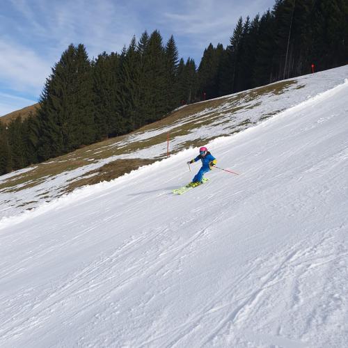 ski