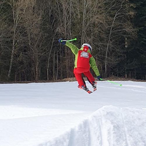 ski