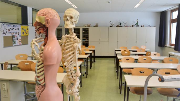 Biologiesaal Skelett